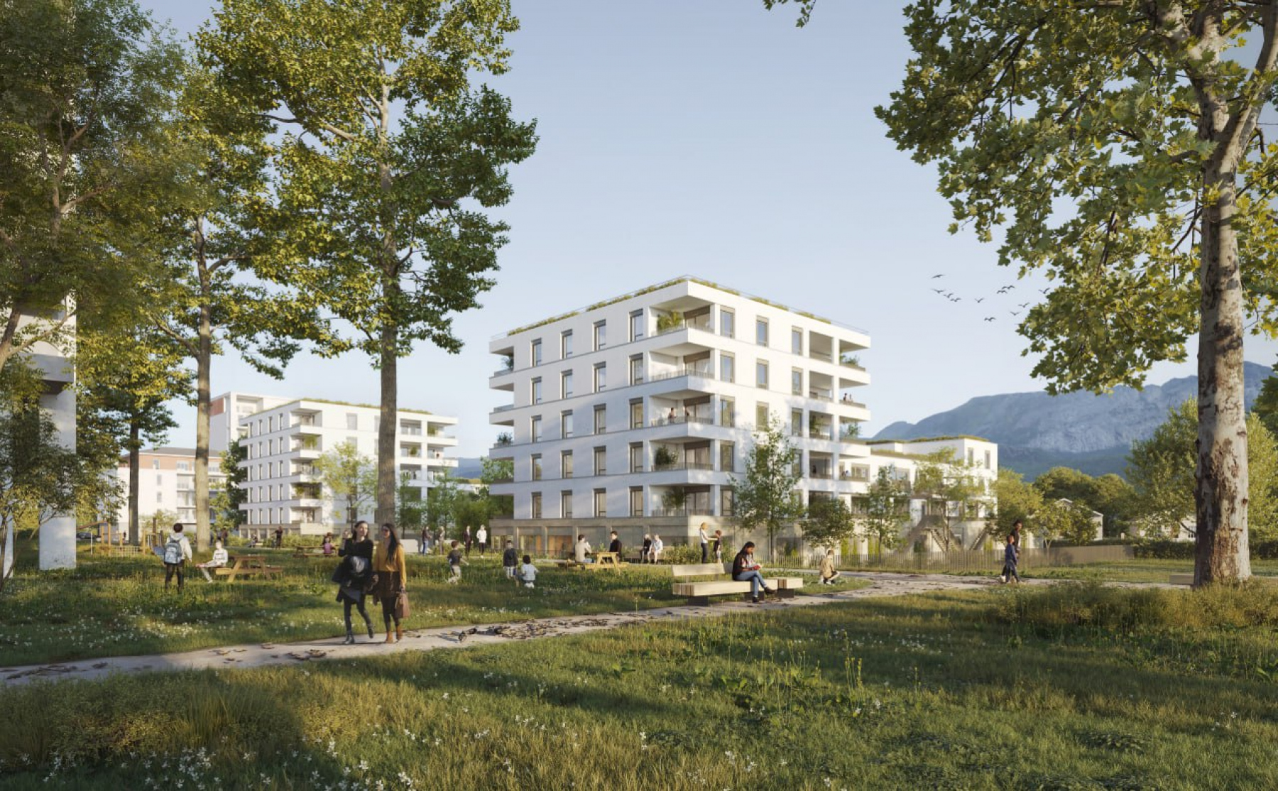 Illustration - vue depuis le chemin des Alisiers©Naska