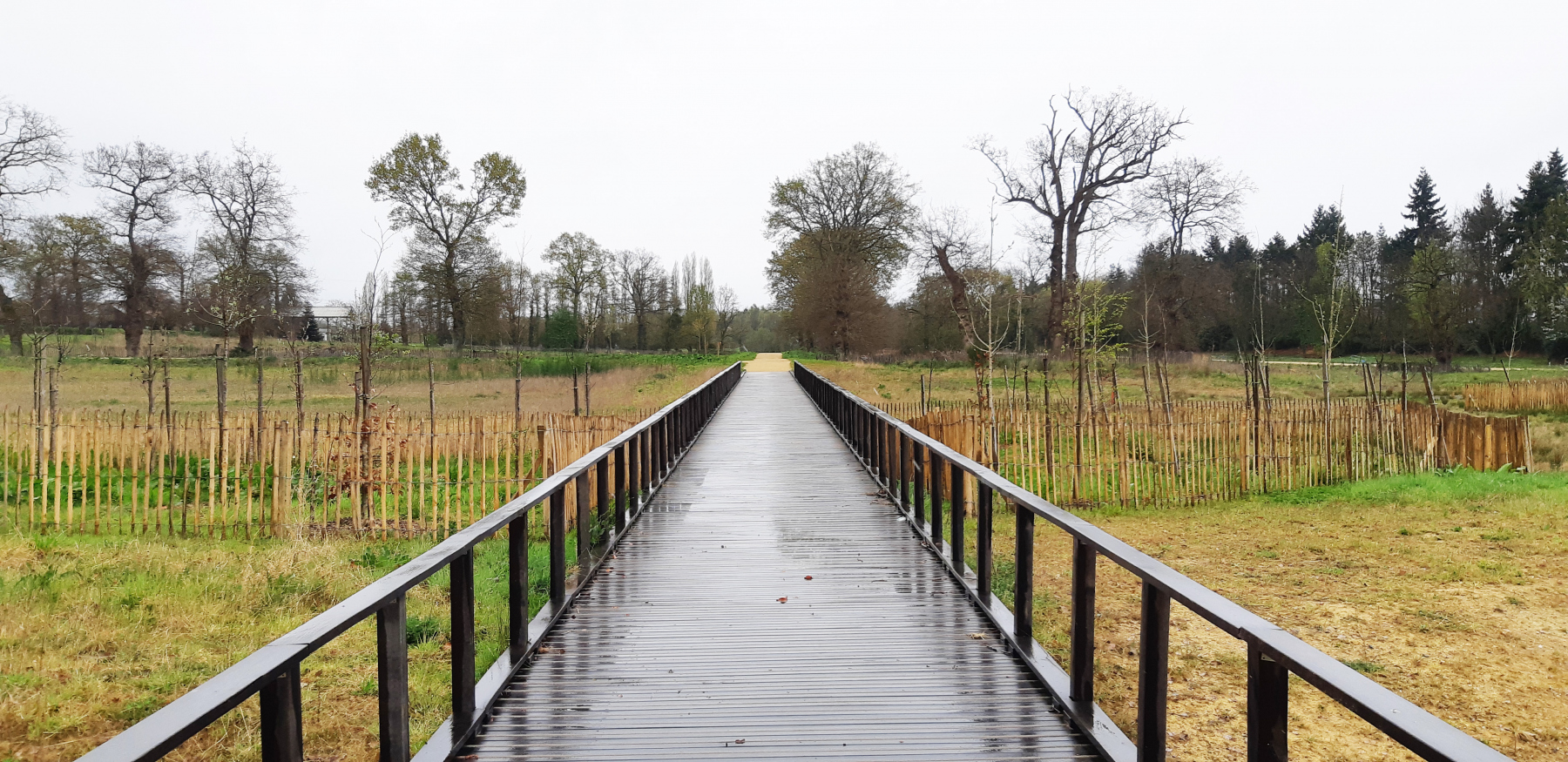 Illustration - Passerelle dans le parc de Boudebois, en mars 2022