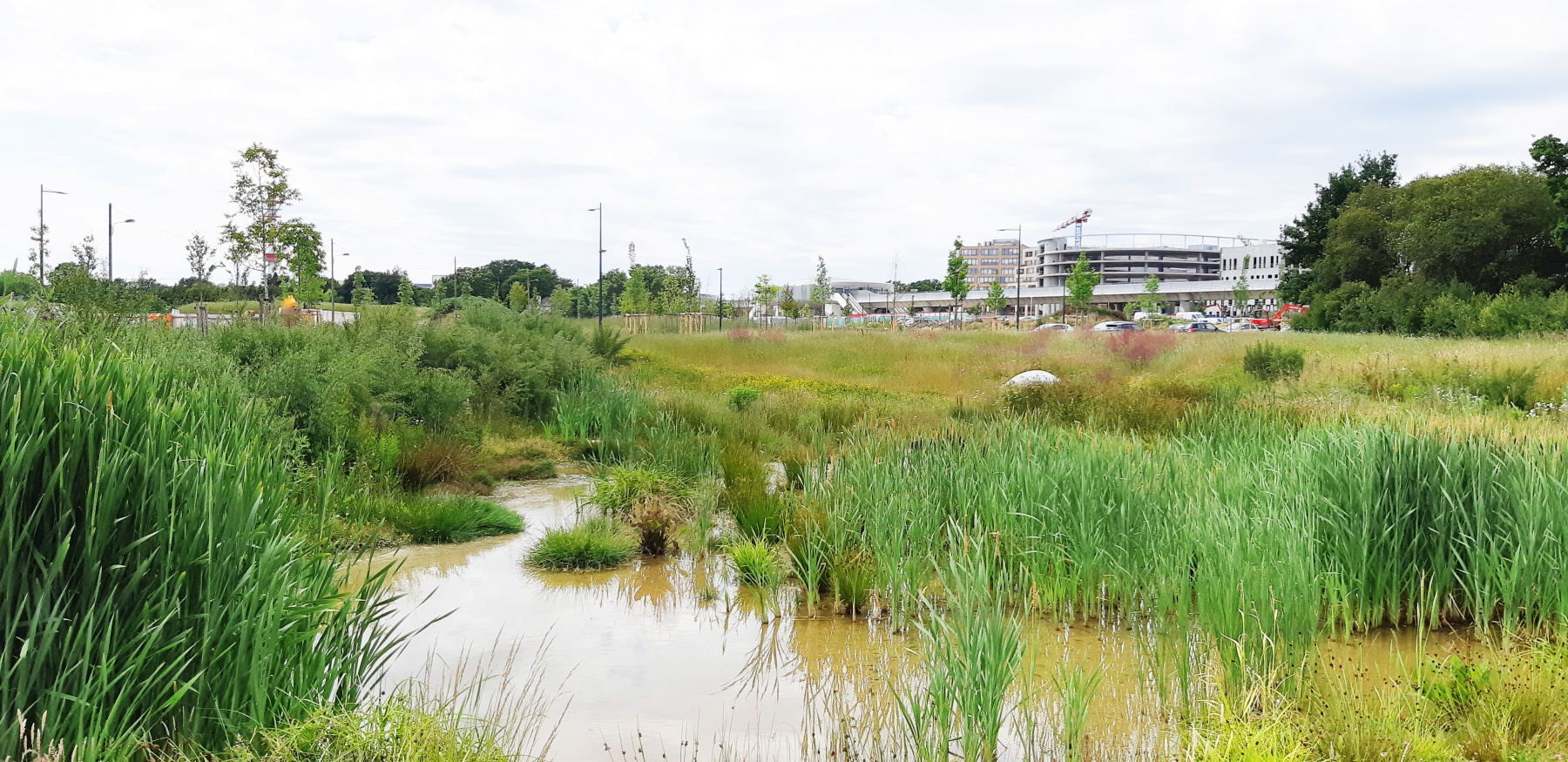 Illustration - Nouveau bassin avec le métro à l'arrière-plan, en juin 2022