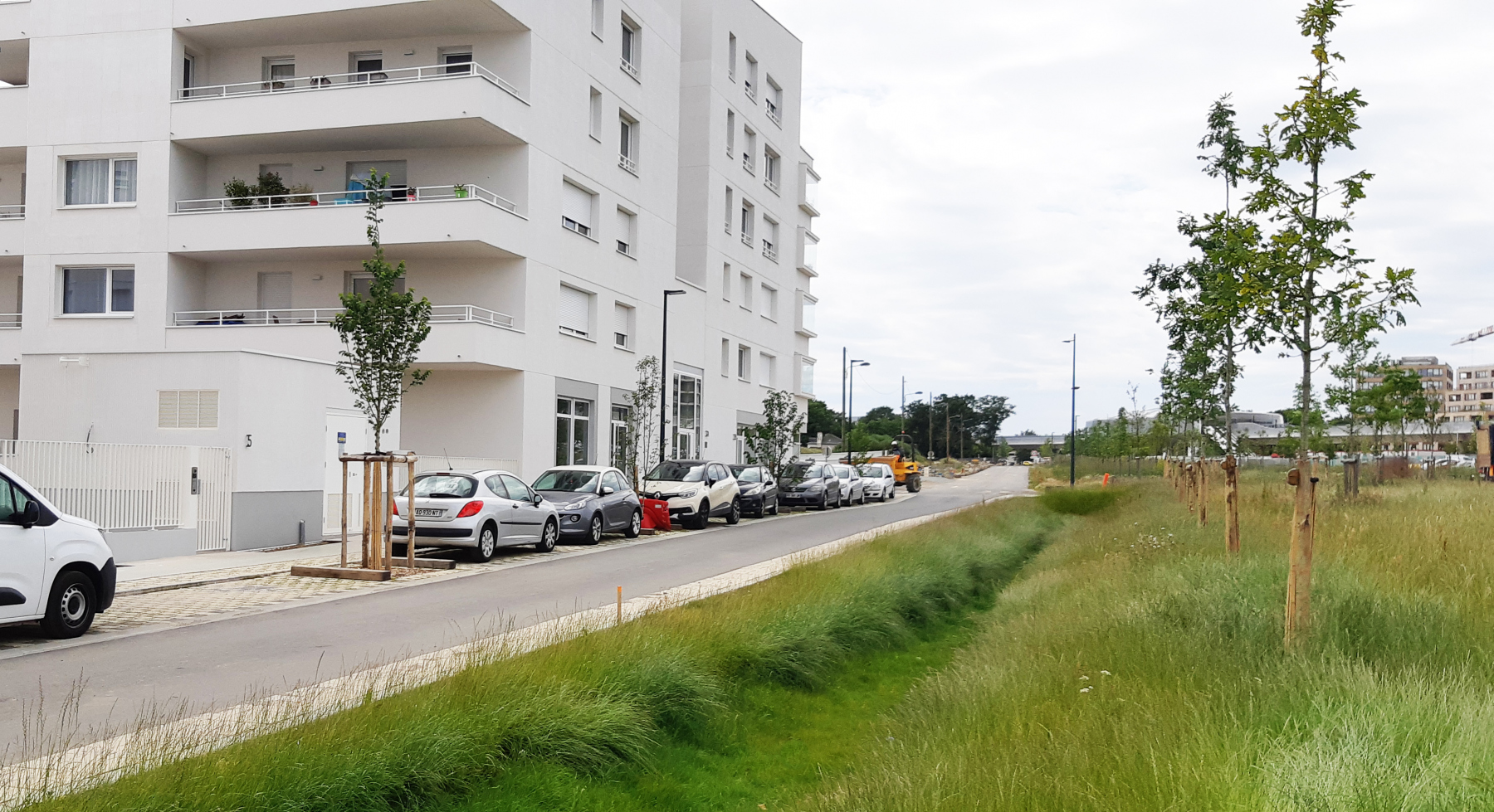Illustration - La rue des Tusseaux en bordure du parc, en juin 2022
