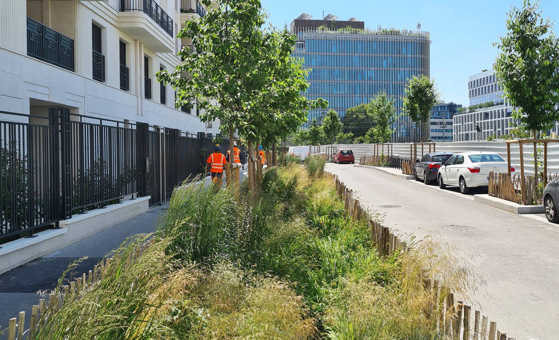 Illustration - La rue Toni Morisson (secteur 4) en mai 2023