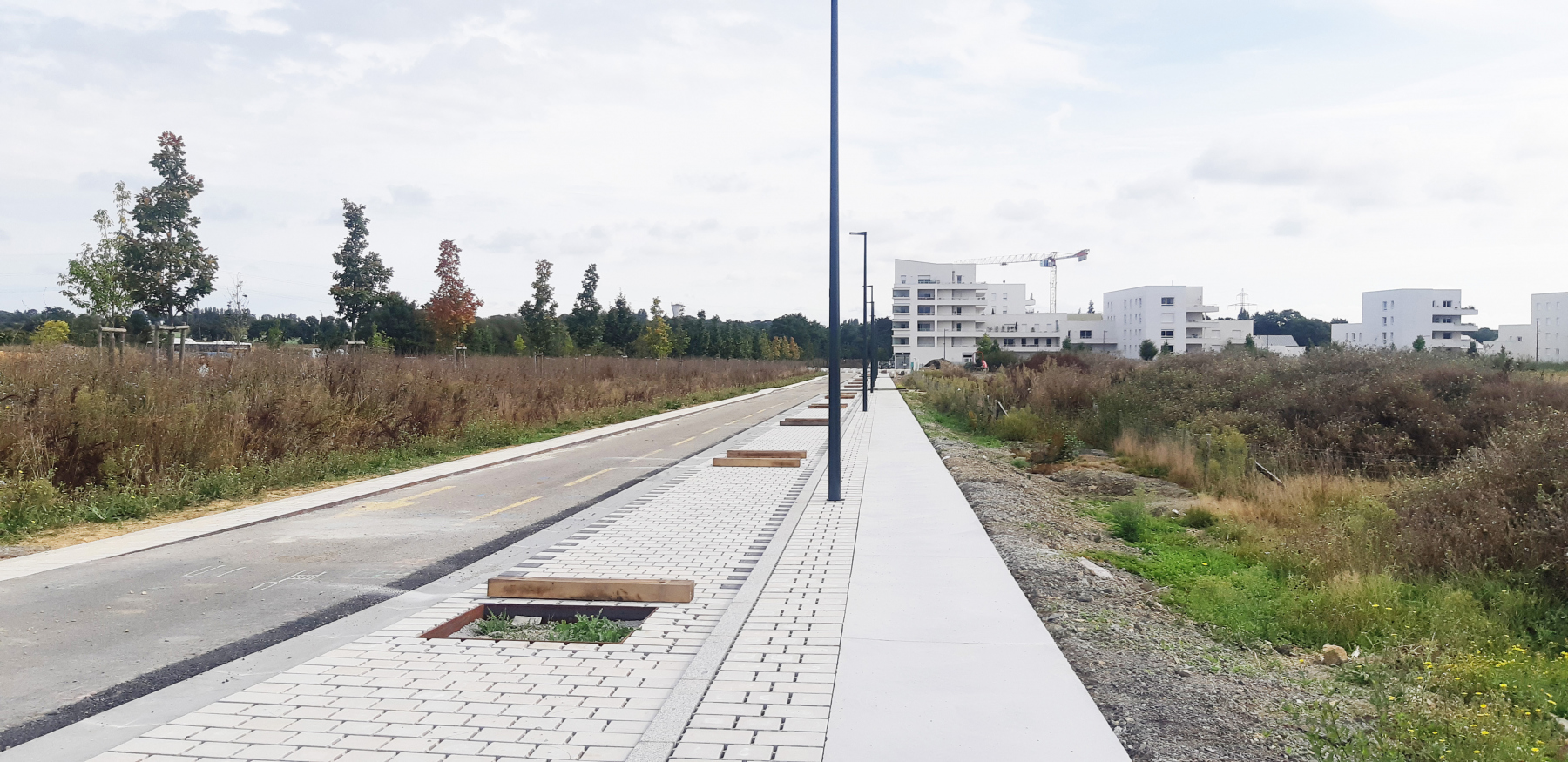 Illustration - La rue Beltrame, en septembre 2023