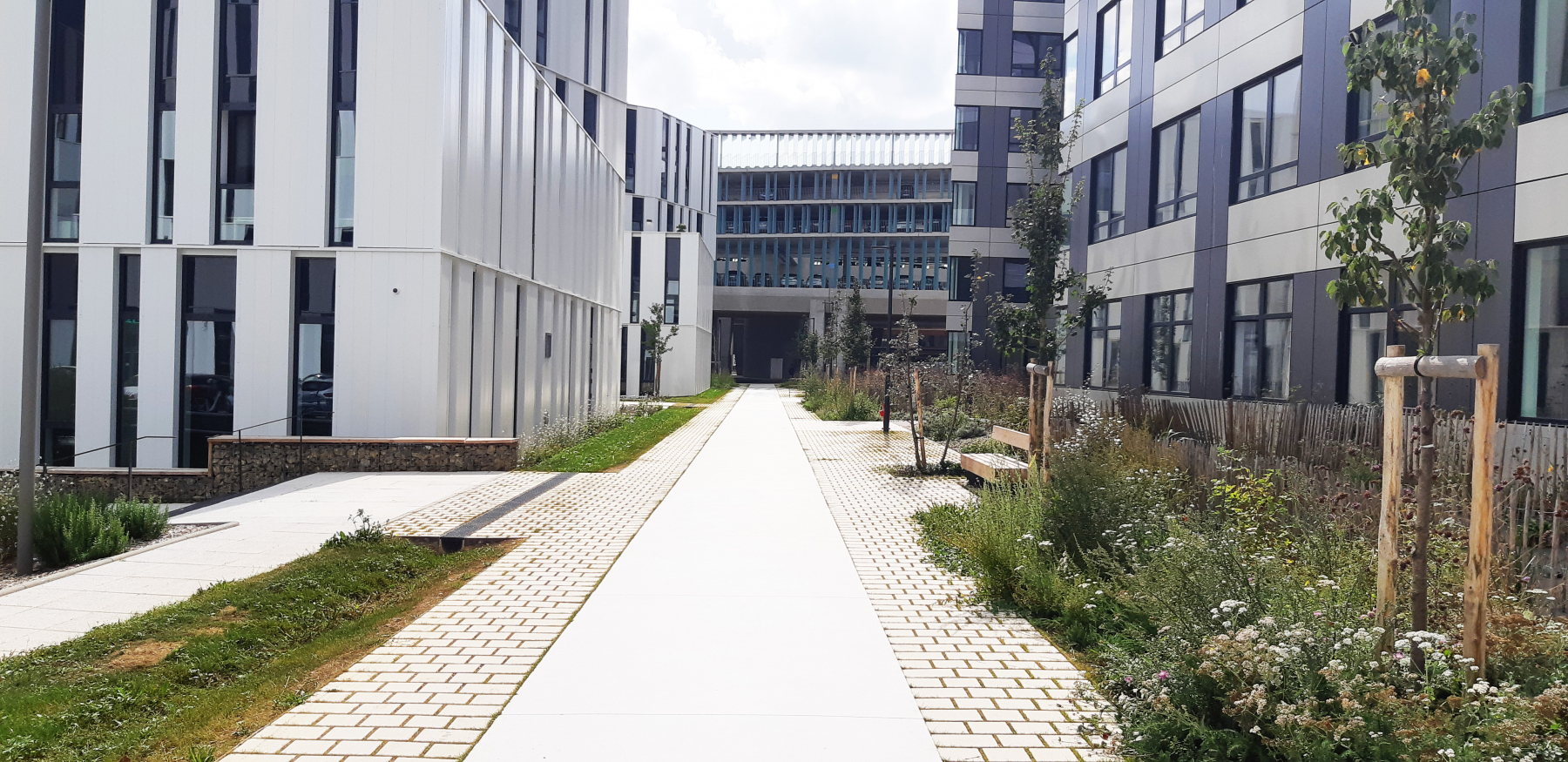 Illustration - La venelle "B9", en septembre 2023