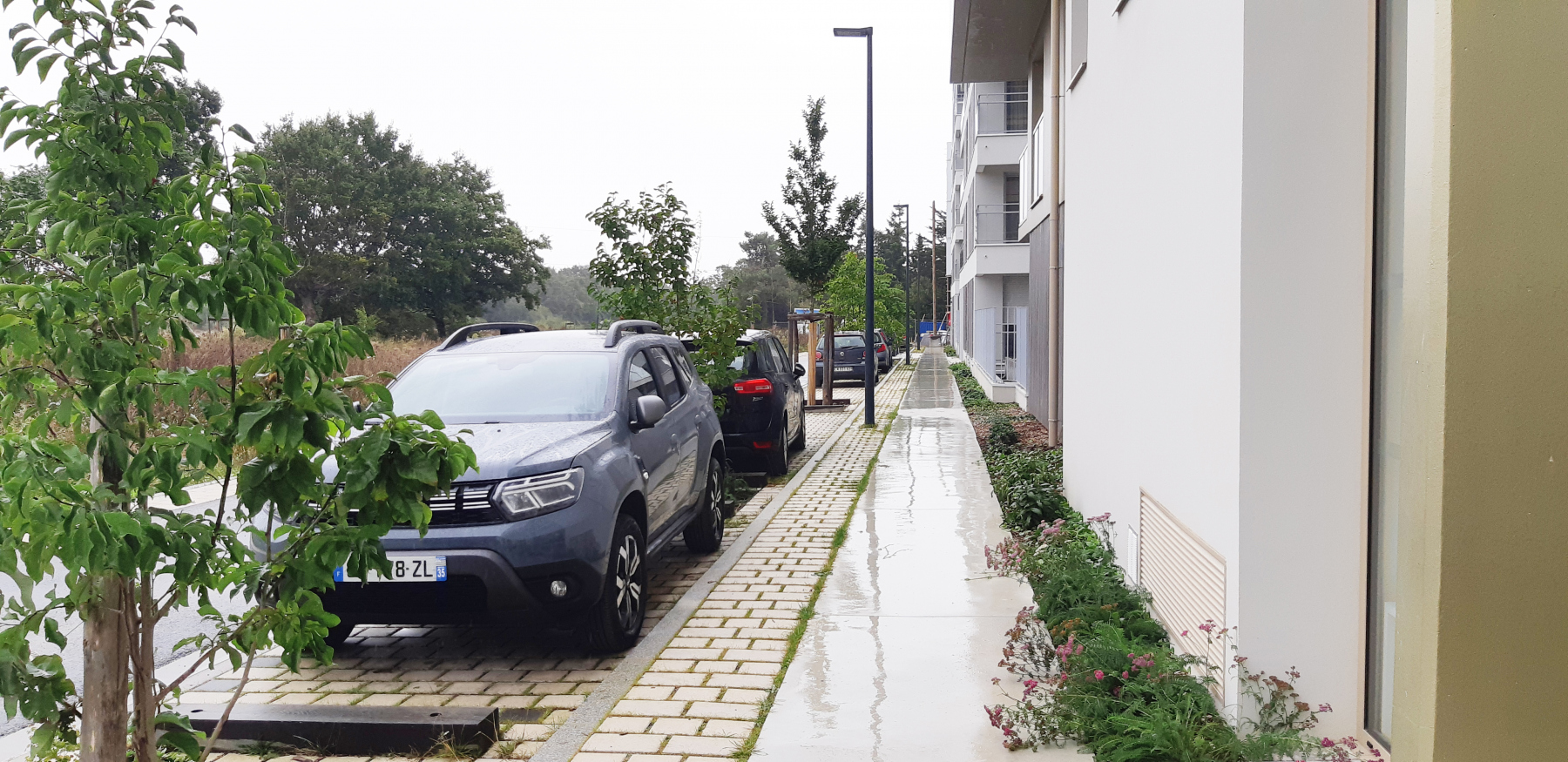 Illustration - La rue des Tusseaux, en septembre 2023