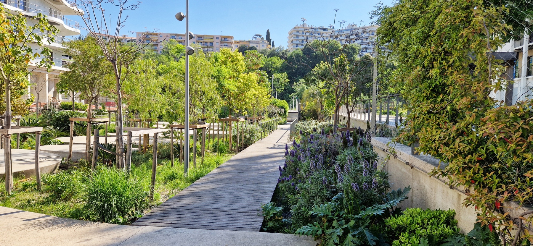 Illustration - Le jardin de l'Université en avril 2025