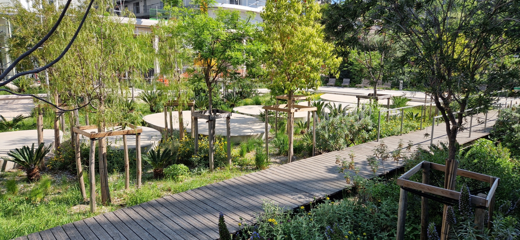 Illustration - Le jardin de l'Université en avril 2025