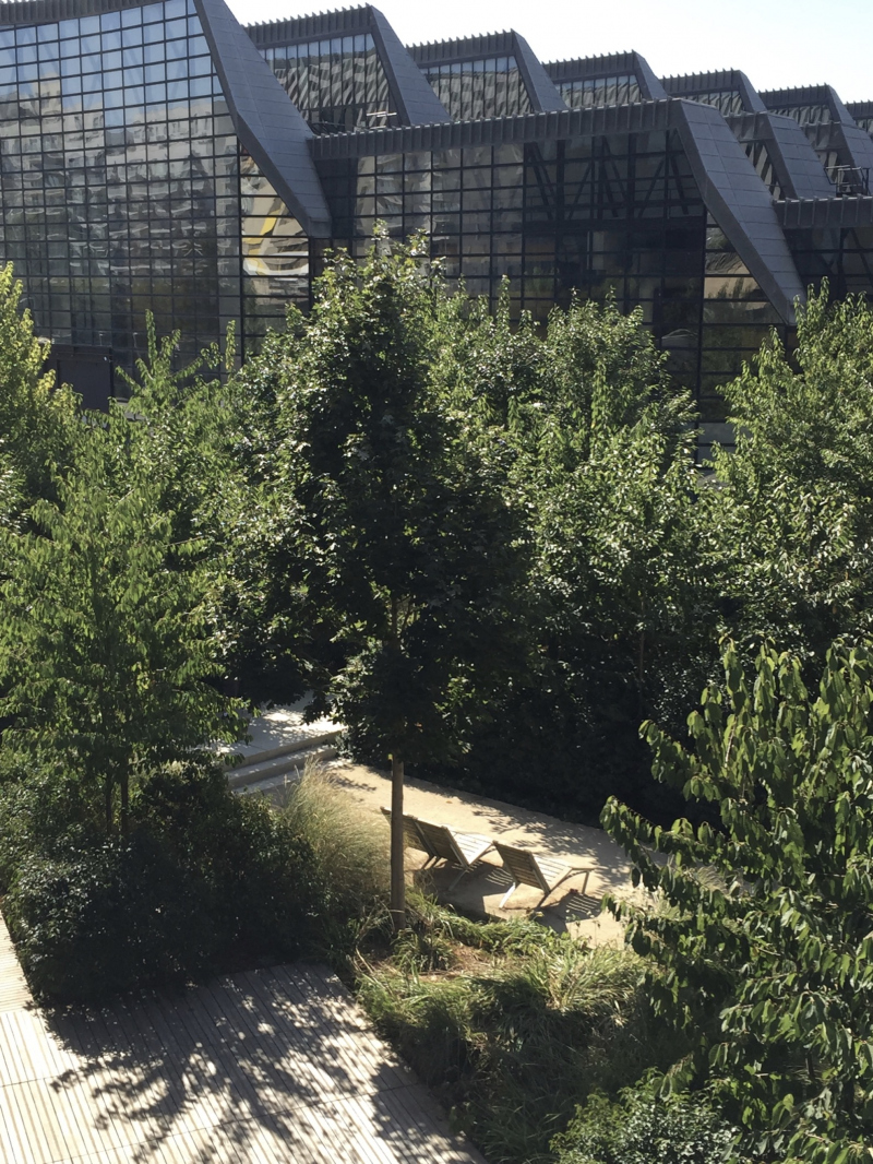 Illustration - Vue depuis la passerelle vers le jardin