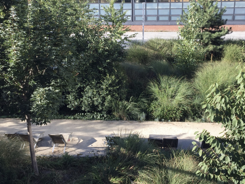 Illustration - Le jardin depuis la passerelle