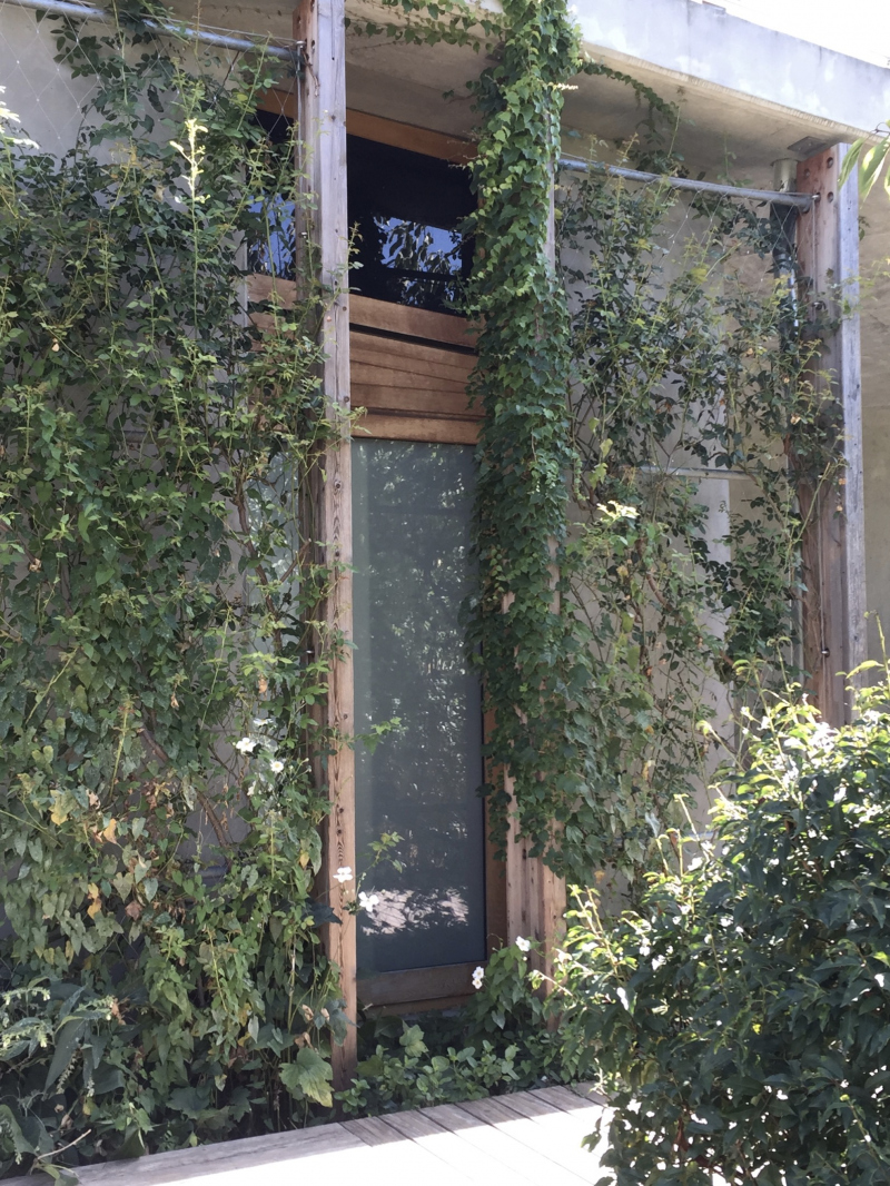Illustration - Habillage de la passerelle avec des plantes grimpantes