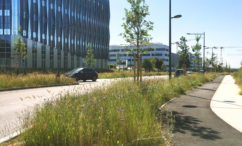 Illustration - Les noues enherbées © SPLA Viasilva