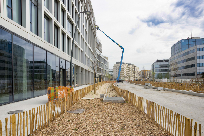 Illustration - Noue de l'avenue de la Liberté (secteur 5) en mars