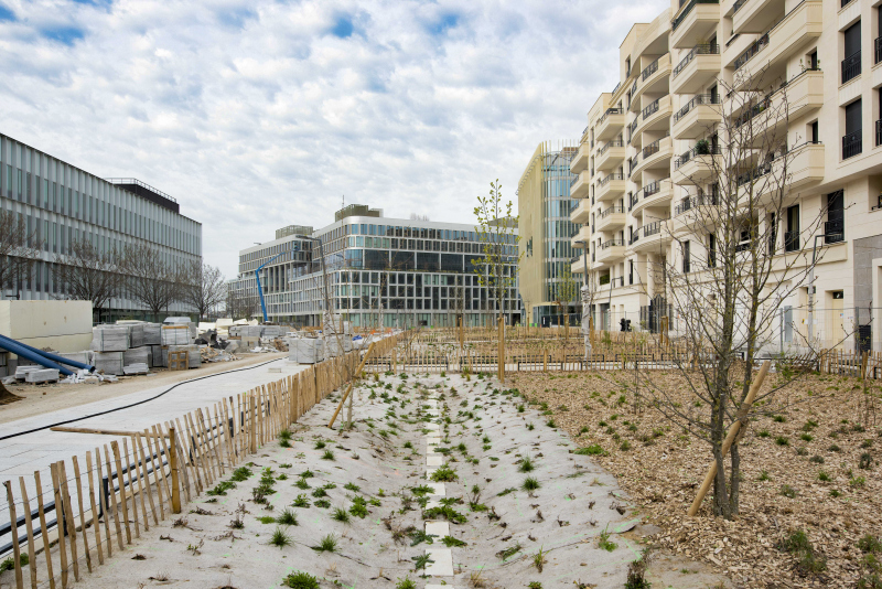 Illustration - Le grand mail planté du secteur 5 en mars
