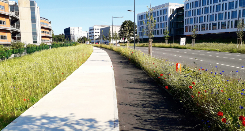 Illustration - Trottoir et piste cyclable sont bordés de prairies © ARTELIA