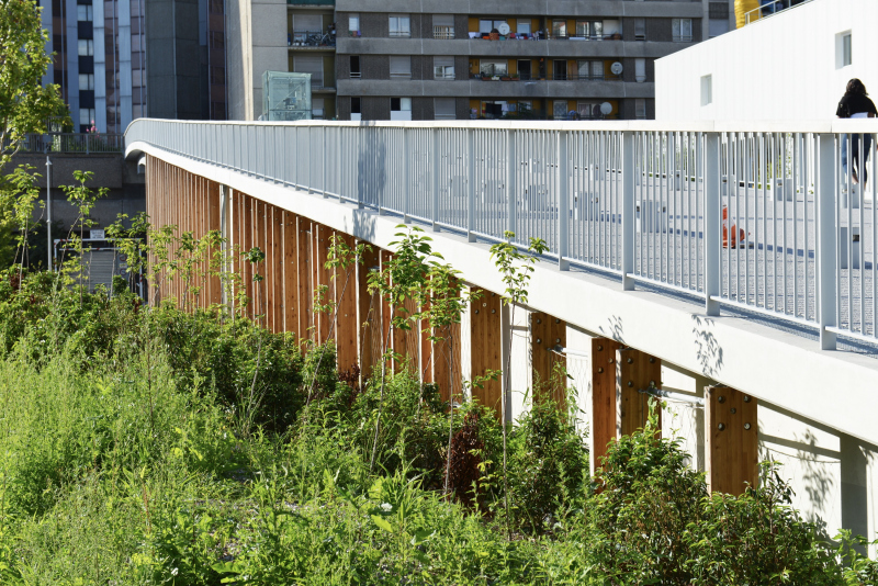 Illustration - Vue depuis le jardin en 2012 