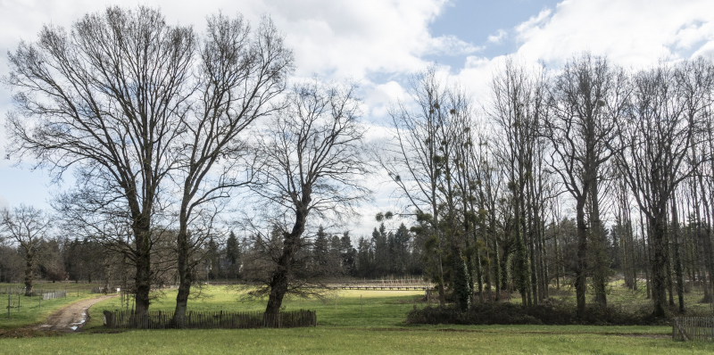 Illustration - Premiers aménagements sur Boudebois