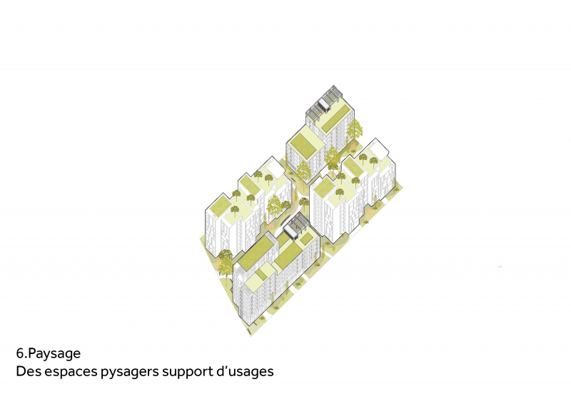 Illustration - Schéma jardins partagées