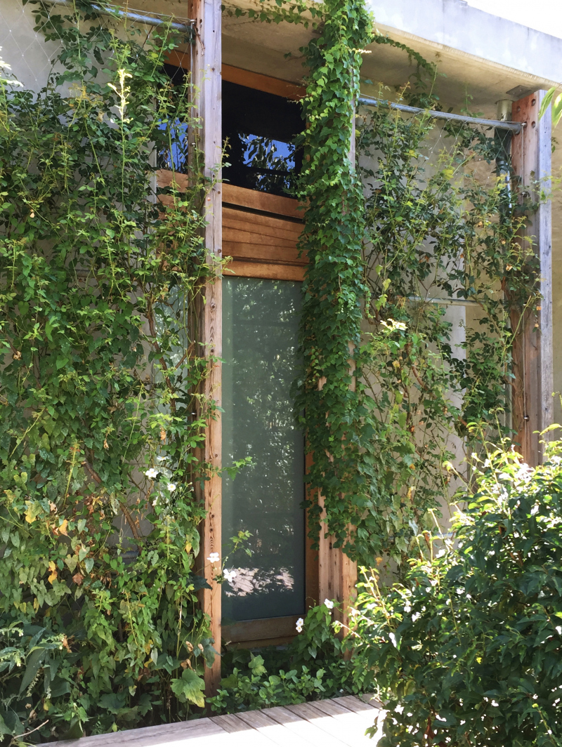 Illustration - Quatre ans plus tard