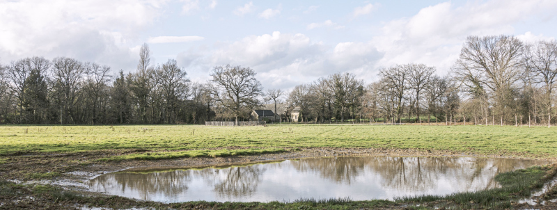 Illustration - Mare réalisée dans le cadre des compensation écologiques