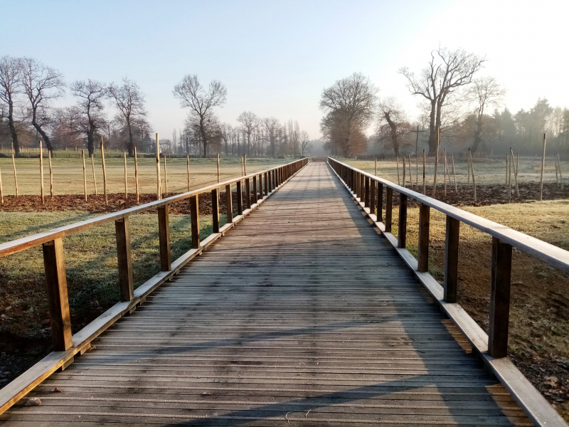 Illustration - Passerelle dans le parc de Boudebois