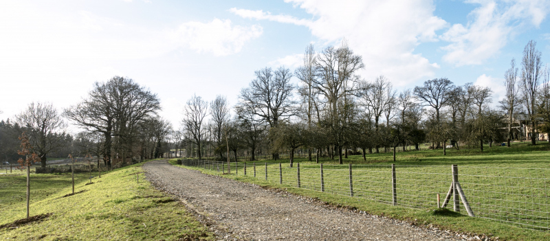Illustration - Chemin en travaux le long du verger