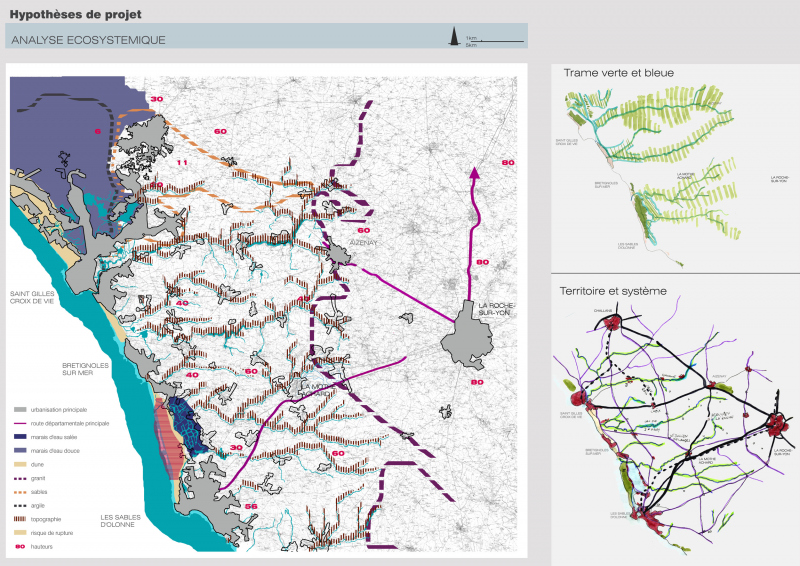 Illustration - Hypothèse de projet - Analyse écosystémique