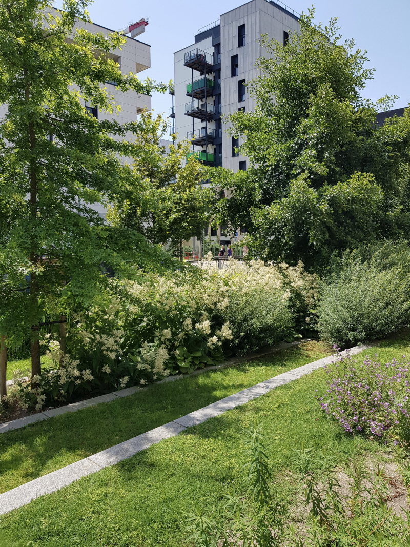 Illustration - Jardin de Luciline