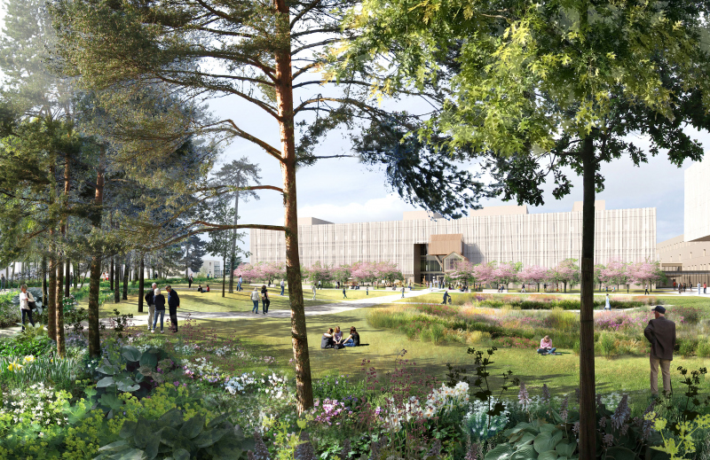 Illustration - Le jardin de la pédiatrie