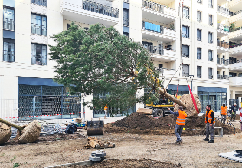 Illustration - Plantations en mars 2022