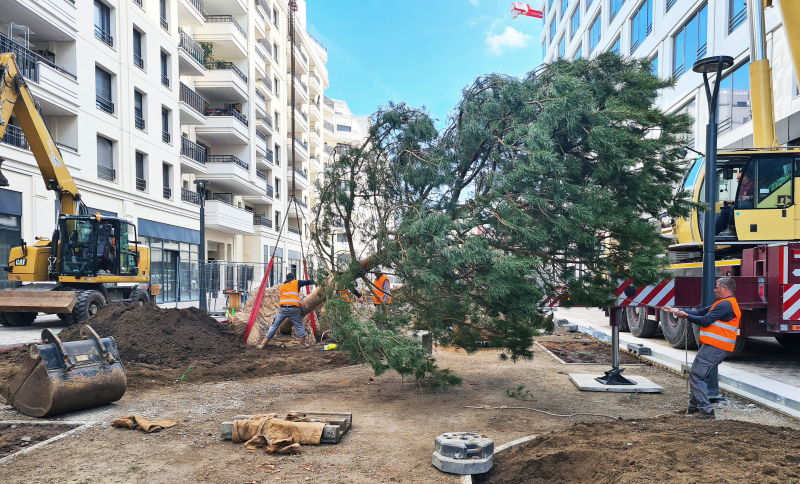 Illustration - Plantations en mars 2022