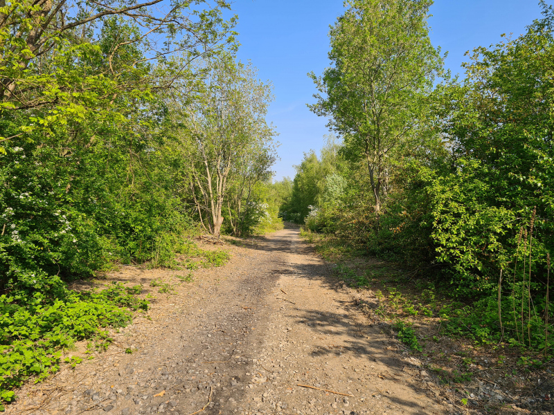 Illustration - La voie verte en chantier, avril 2022