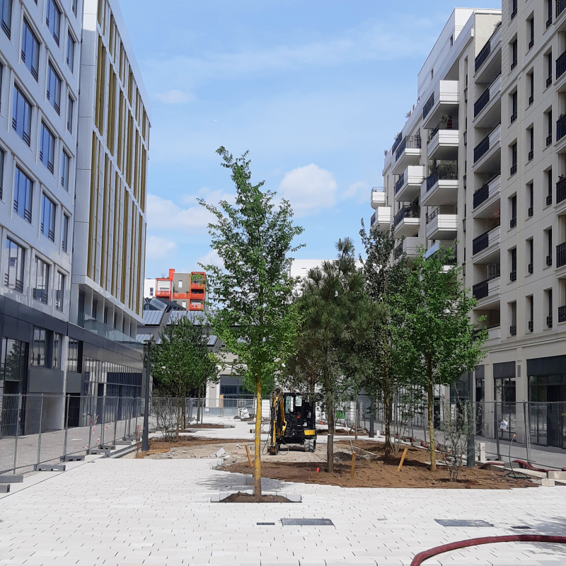 Illustration - Le cours des Lavandières en mai 2022