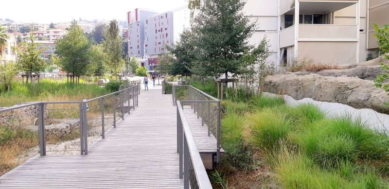 Illustration - Passerelle au-dessus de la roselière du jardin Robini