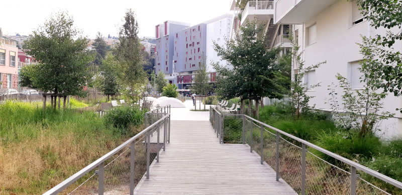 Illustration - Passerelle au-dessus de la roselière du jardin Robini