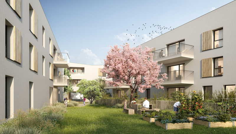 Illustration - Jardin en coeur d'îlot