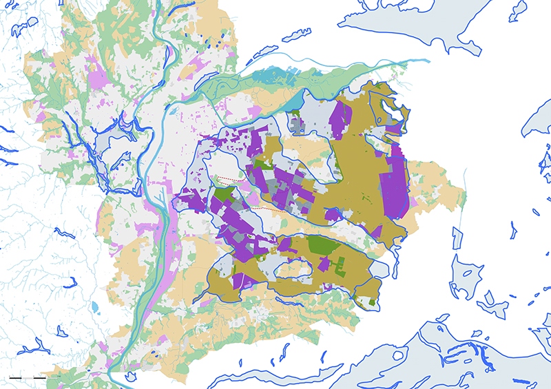 Illustration - Carte diagnostic