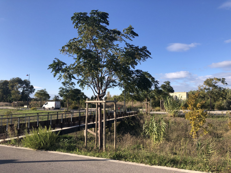 Illustration - Aménagements existants