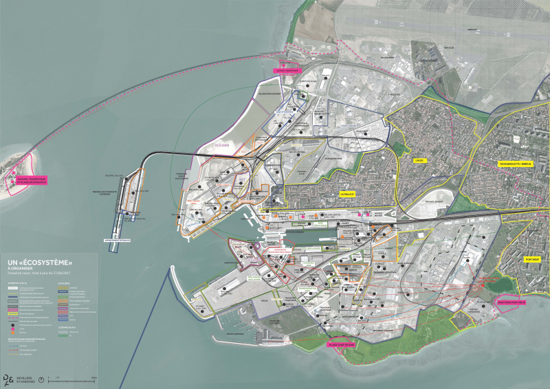 Illustration - Ecosystèmes portuaires