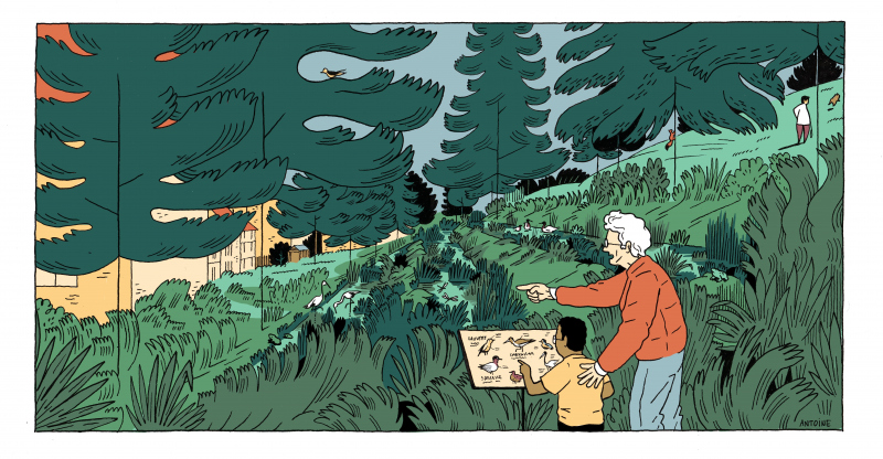 Illustration - Sanctuariser une partie du parc