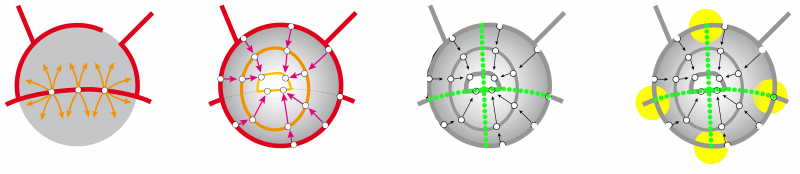 Illustration - Hiérarchiser le réseau viaire