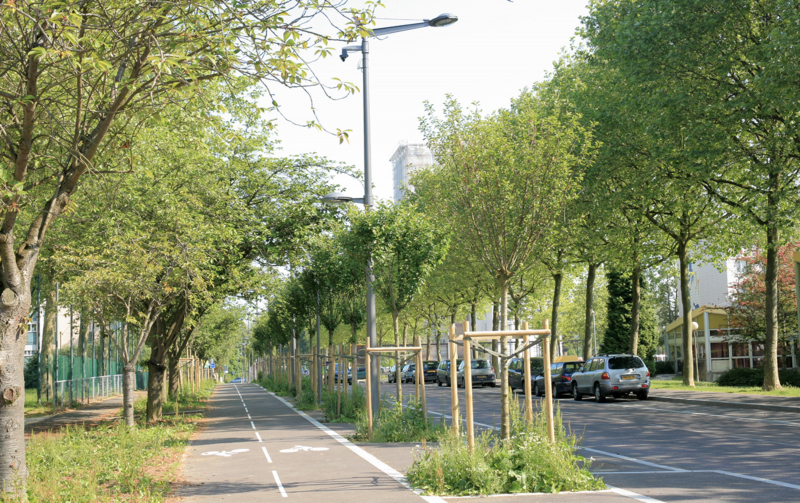 Illustration - Quartier Grand Mare