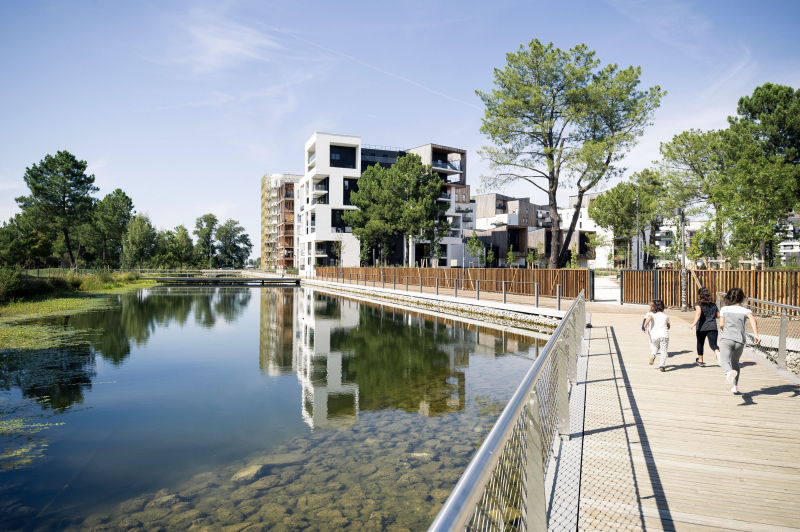 Illustration - Bord des berges du lac