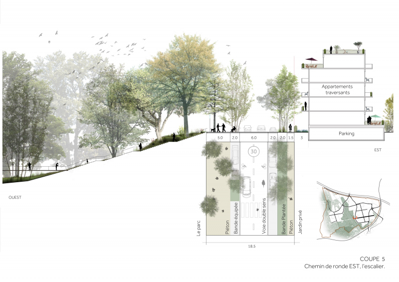 Illustration - Coupe de la promenade le long du parc