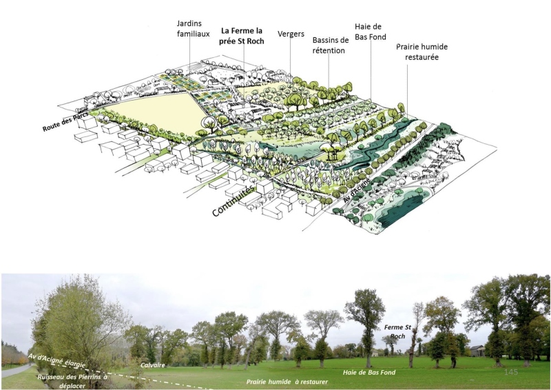 Illustration - Schéma de principe des eaux pluviales au sein du parc de Boudebois