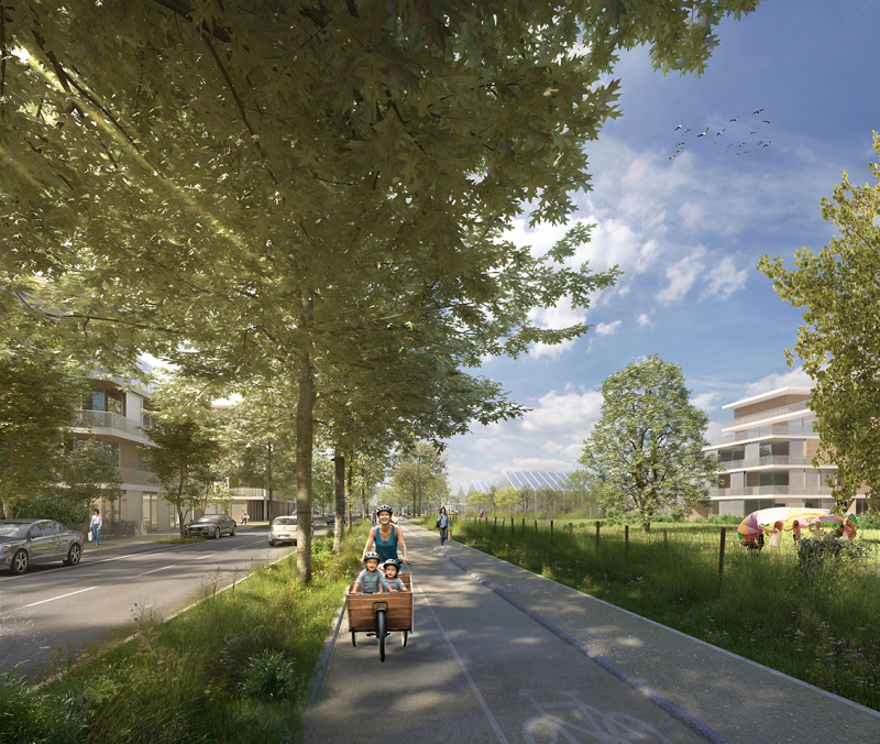 Illustration - La nouvelle rue qui longe le parc aux Chênes - © Lylo