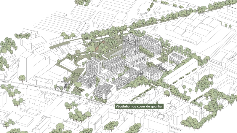 Illustration - Végétation au cœur du quartier - ©Oslo / D&A