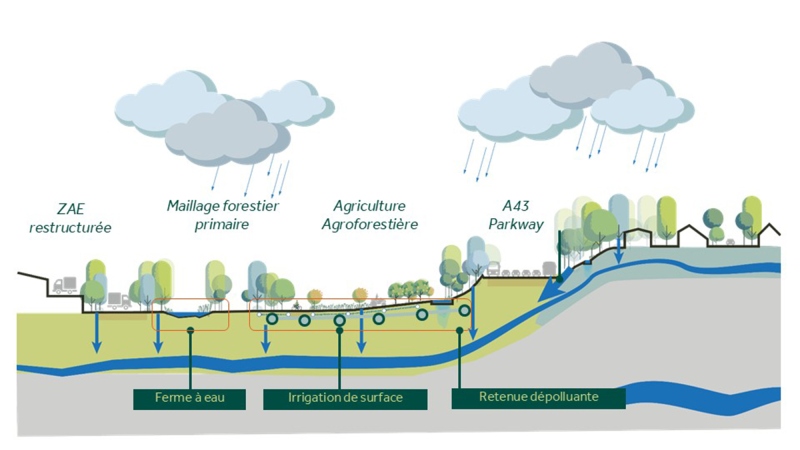 Illustration - Coupe projet