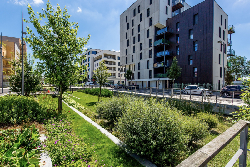 Illustration - Jardin et gestion des eaux pluviales