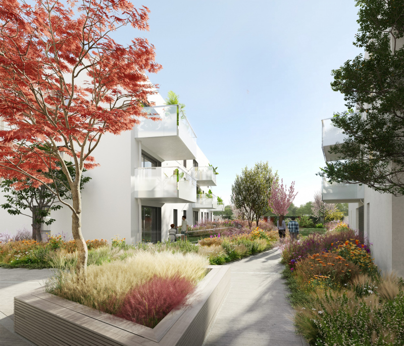 Illustration - Coeur d'îlot