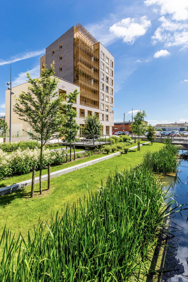 Illustration - Jardin principal