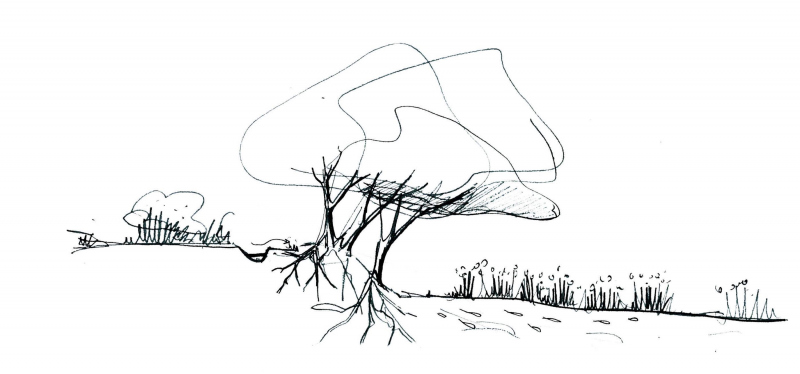 Illustration - Coupe de principe de la gestion de l’eau par un travail de cannelets